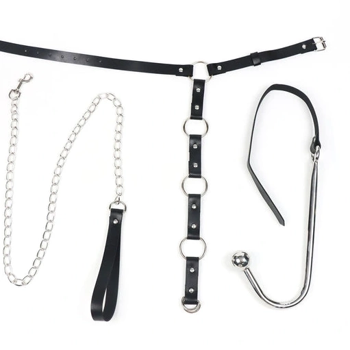 Anal Hooks with Leash Anal Kinky and Collar Hook EverydayUse 5853 0911